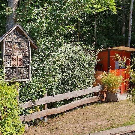 הוילה Ronshausen Ferienhaus Am Wald מראה חיצוני תמונה