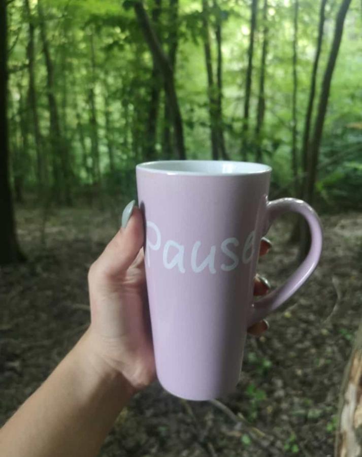 הוילה Ronshausen Ferienhaus Am Wald מראה חיצוני תמונה