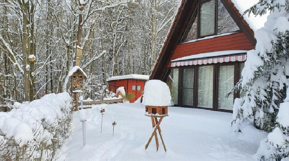 הוילה Ronshausen Ferienhaus Am Wald מראה חיצוני תמונה