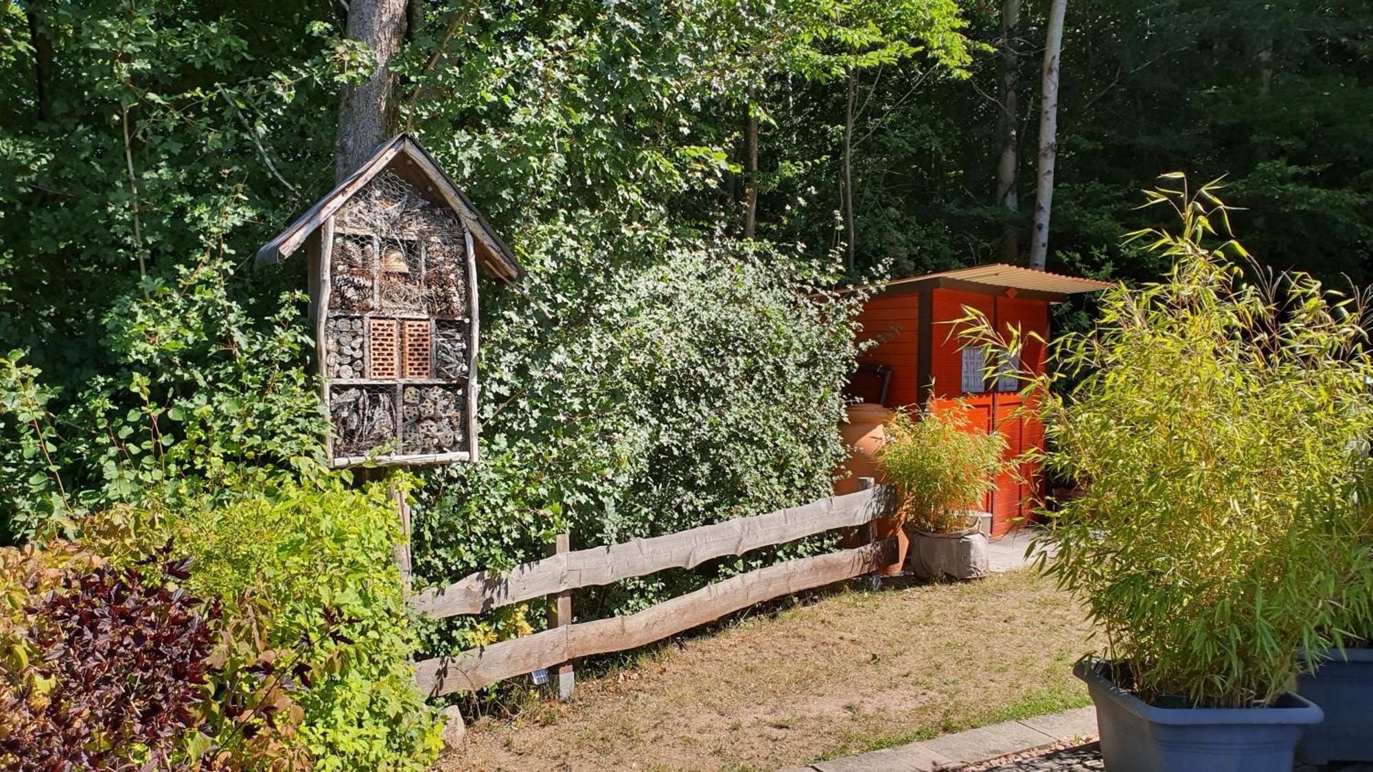 הוילה Ronshausen Ferienhaus Am Wald מראה חיצוני תמונה